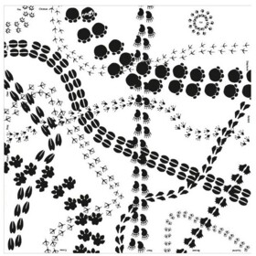 Mata sensoryczna Footprints 100x100 cm + tafle