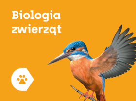 Corinth 3D Offline Biologia Zwierząt