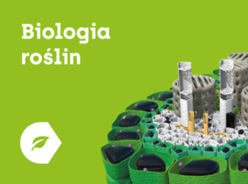 Corinth 3D Offline Biologia Roślin