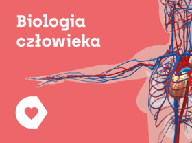 Corinth 3D Offline Biologia Człowieka