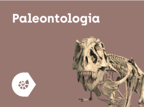 Corinth 3D Offline Paleontologia i Kultura