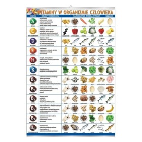 Witaminy w organizmie człowieka - plansza dydaktyczna