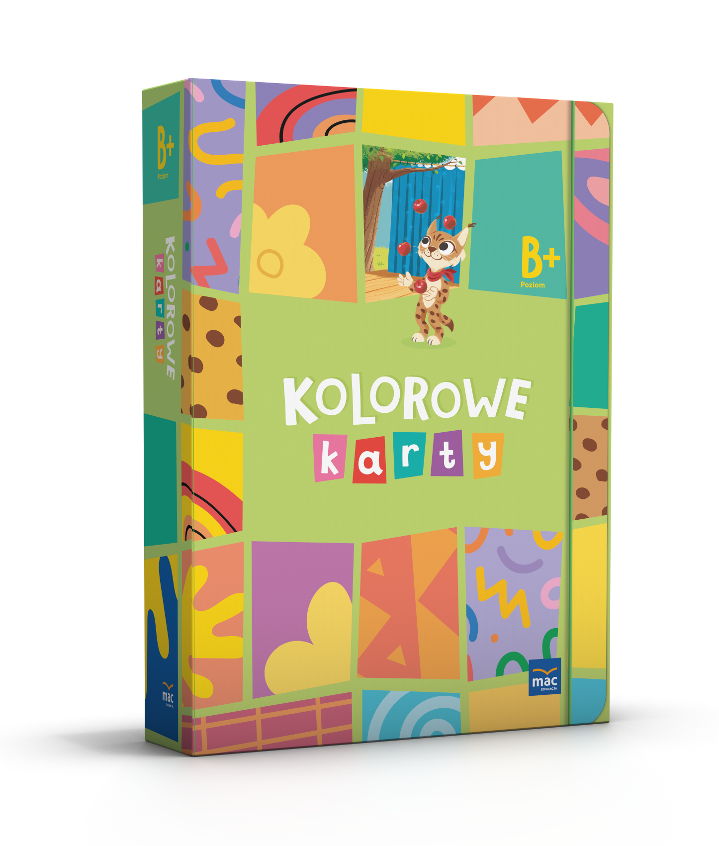 kolorowe karty B plus.png